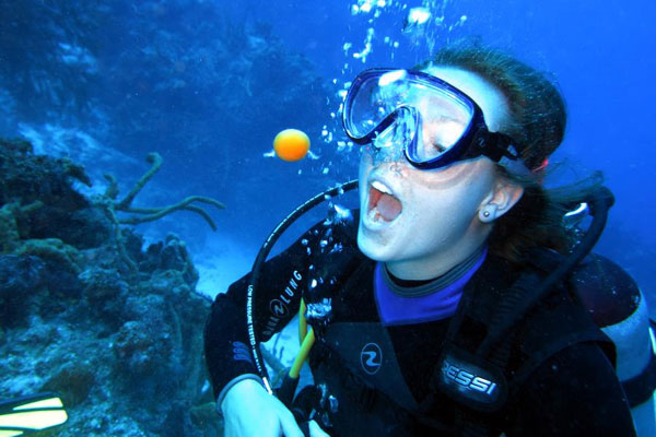 divemaster internship underwater work